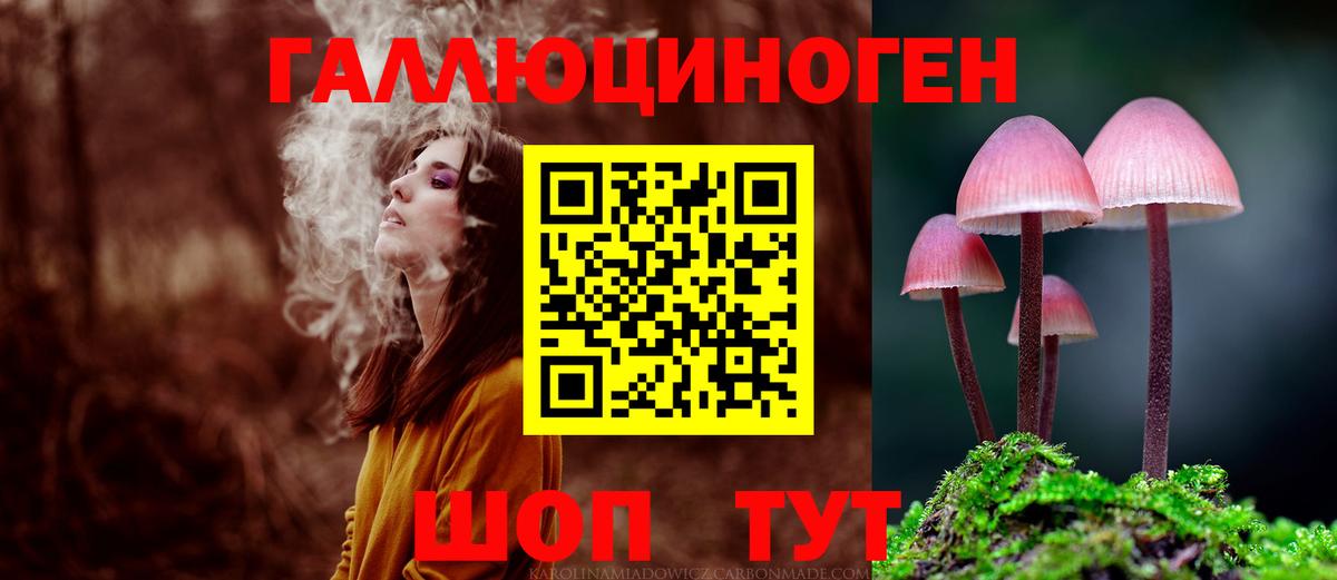 Донской  где можно купить наркотик  Вход с VPN  Галлюциногенные грибы мицелий  Галлюциногенные грибы прущие грибы 